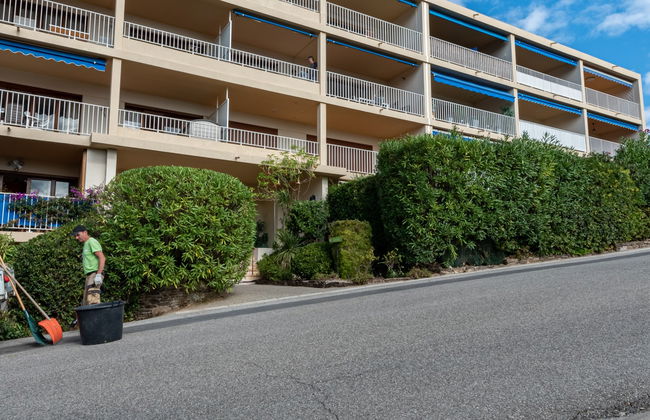 Les Mimosas - Foto 18