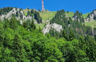 Ferienhof Hierl - Photo 6