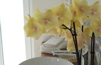 Cà d'Rita Monferrato - Barbera idromassaggio e piscina esterni - Foto 27