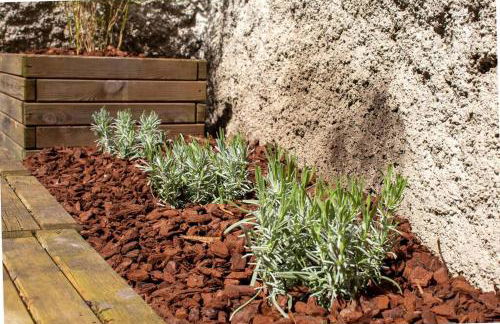 Le Triplex - 4 pers - Wifi - Centre ville - Foto 16