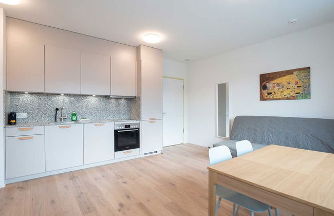 Hitrental Letzigrund Apartments - Foto 45