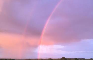 High Oak Holiday Cottage - Foto 25