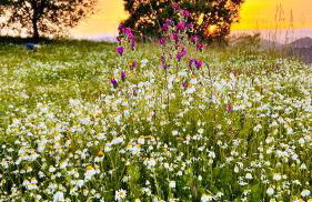 MENTIROSANATA - Foto 71