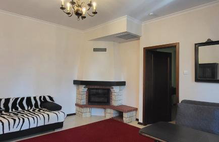 Willa Wellness - Foto 41