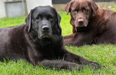 Carpe Deimern in der Lüneburger Heide - Foto 6
