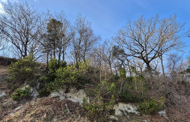 6 Person Holiday Home in Thyholm - Foto 17