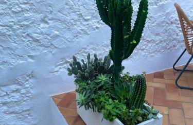 CASA MÚA - Photo 44