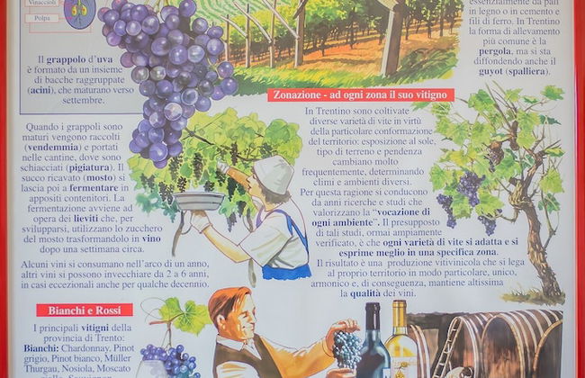 Agriturismo Trefrutti - Foto 20