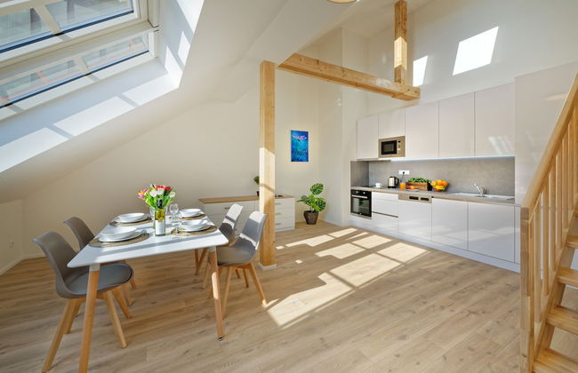 DownTown Suites Jugoslavska - Photo 16