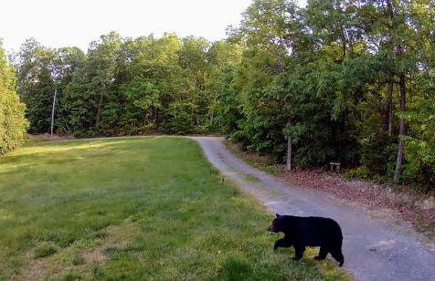 Mountain Views Hot Tub Movie Room 12 Priv Acres - Photo 58
