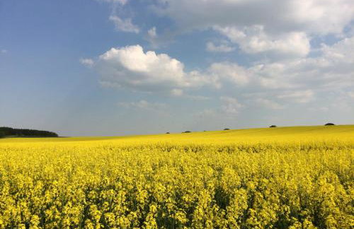 Lindenhof Wohnung 2, Erdgeschoß - Foto 25