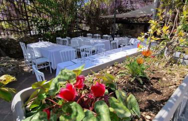 Tenuta Oliva - Foto 33