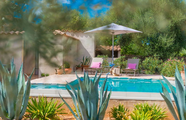 Can Pina - Eco Cascada - - Photo 32