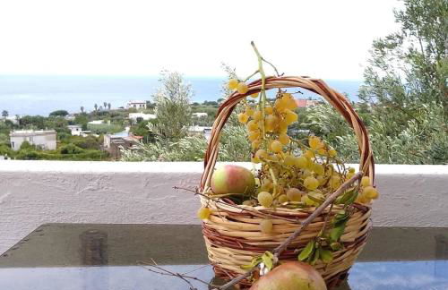 Residence Limoneto Ischia - Foto 51