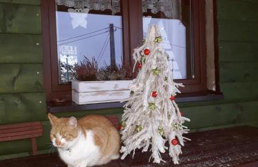 Domki i Apartamenty Rogate Anioły - Photo 41