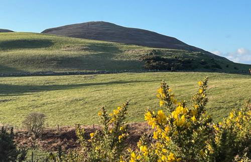 The Hideaway Bureau - Lowlands - Photo 24