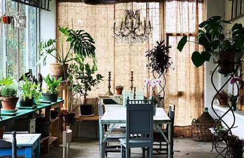 Come una volta farm - Foto 39