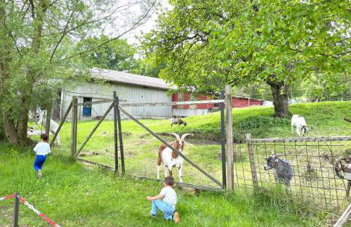 FeWo "Obere Bündt" - Foto 33