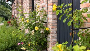 Cuda Wianki Mazury - Foto 4