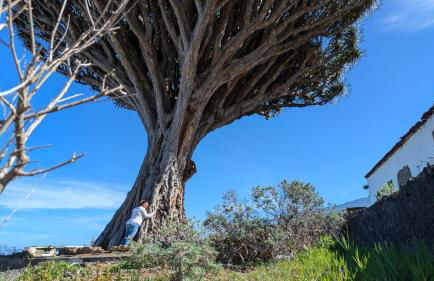 Apartamento Renovado "Hogar Las Vistas" - Foto 79