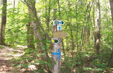 Landhaus am Teupitzsee - Foto 23