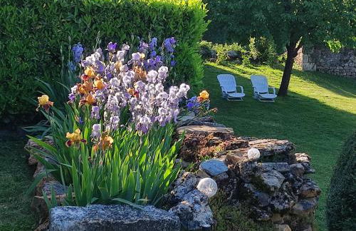 Titi de la Lisathi - Photo 15