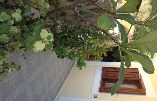 Nikos and Eva Studios - Foto 58