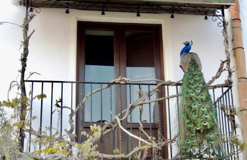 agriturismo u zu peppino - Foto 15