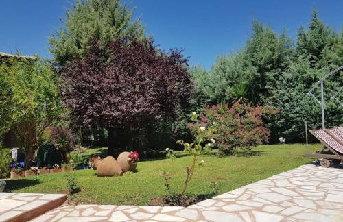 VILLA VICKY - Traditional villa in Evia - Foto 69