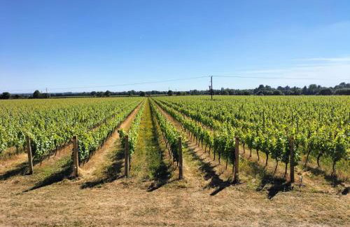 Cosy cottage with vineyard view near Goodwood Chichester - Foto 19