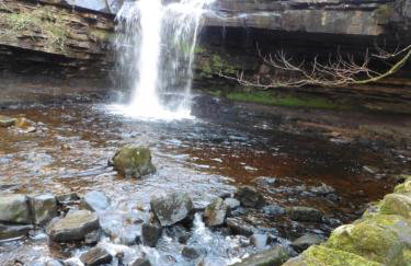 Mews Cottage - Photo 16