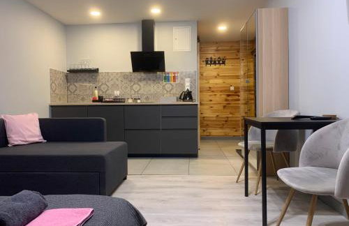 Domki całoroczne - u Ptaka - Miłków - Foto 58