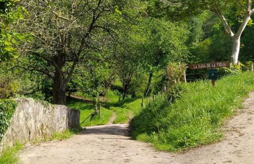 La Casa de la Vieja - Foto 21