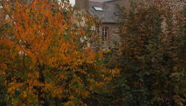 L'Etage - Foto 5, Garden view