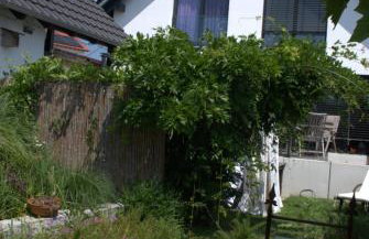 RuheTraum 80 - Design-Apartment - Foto 15