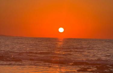 Theros Hani Sea - Photo 36