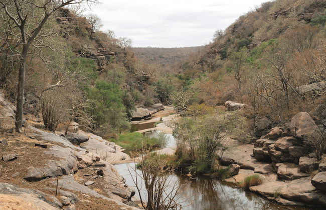 Buccara Waterberg - Molapo - Photo 79