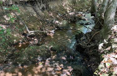 Tiny Retreat - Foto 19