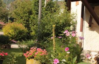 Ferienwohung zum Wasserfall - Foto 8