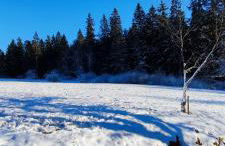 Schicke Ferien Wohnung mit tollem Ausblick in Schwarzwald. - Foto 27