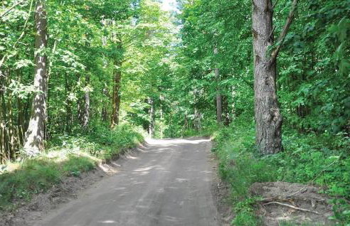 Mazurski Domek - Photo 16