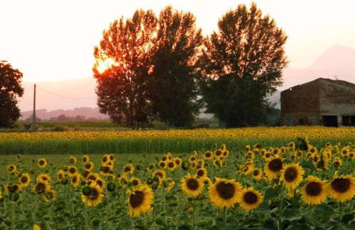 Agriturismo Settepassi Tuscany - Foto 92