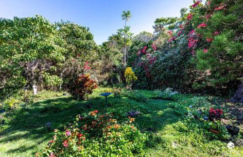 The Sanctuary - Foto 8