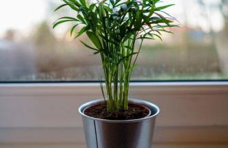 MeerZeit - Sünnenkieker WE4 - ABC287 - nur Feriengäste! - Foto 12