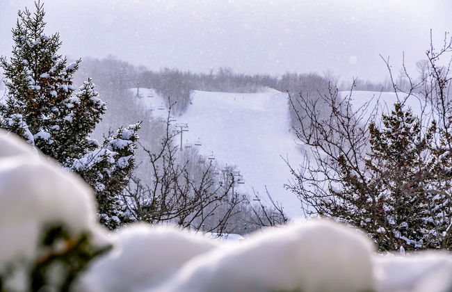 Blue Mountain - Photo 47