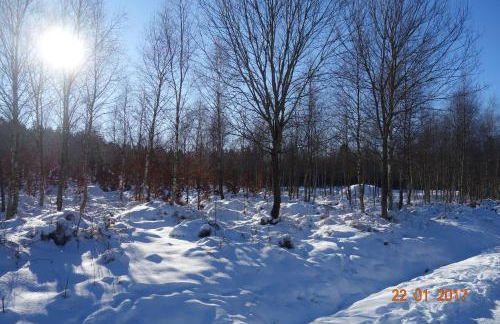 Ferienhaus Quick's Cottage - Foto 16