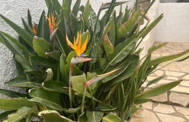 Casa di Paddy - Photo 22