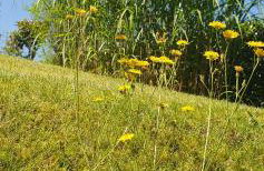 1Step2AllStars Baumhaus - Foto 42