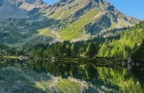 Cuore Di Neve - Family Chalet - Foto 28