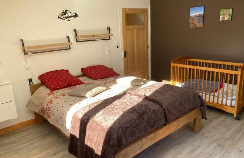 l'Echo des Glieres vue montagne centre village sauna & grill - Foto 11